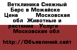 Ветклиника Снежный Барс в Можайске › Цена ­ 300 - Московская обл. Животные и растения » Услуги   . Московская обл.